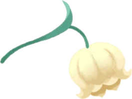 摘んできた星明かりのスズランの画像