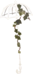 なにかの骨の傘の画像