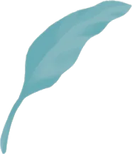 背の高い植物の葉の画像