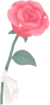 きらめく一輪の薔薇の画像