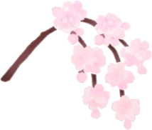 手持ちの枝垂桜の枝の画像