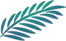 採取された植物の画像