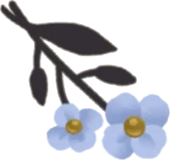 摘んだ小さな花の画像