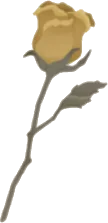 バラのドライフラワーの画像