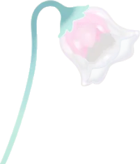 摘んできた氷凛花の画像