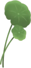 本物のような人工水草の画像
