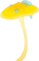 黄色のキノコ傘の画像