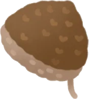 かぎ編みのくりの画像