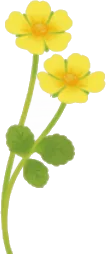 摘みたて春の小花の画像
