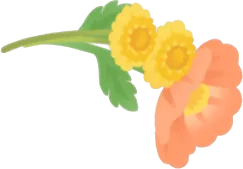 摘み取った花々の画像