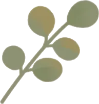 素朴な草の画像