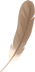 宝物の羽根の画像