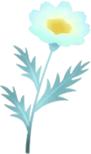 霧の森の一輪の花の画像
