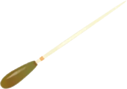 こだわりの指揮棒の画像