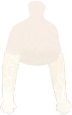 貴婦人のホワイトグローブの画像