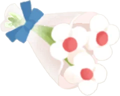 小さな白い花の画像
