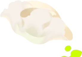 独創的な包み方の餃子の画像