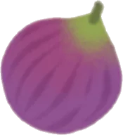 祈りを込めた無花果の画像