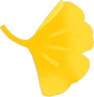 手持ちイチョウの画像