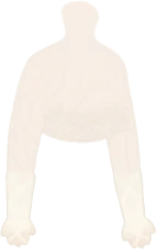 白いレースグローブの画像