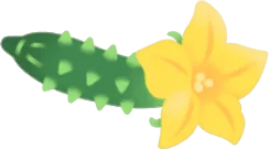 早摘み花丸キュウリの画像