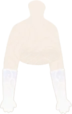 上品なドレスグローブの画像