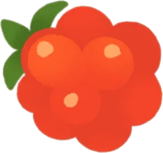 熟して落ちたクラウドベリーの画像