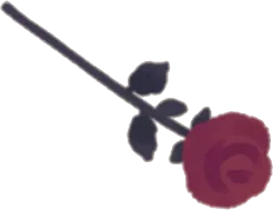 贈る一輪の薔薇の画像