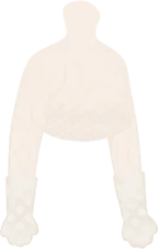 とある夫人のレースグローブの画像