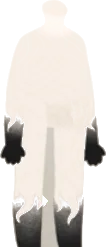 影の衣の画像