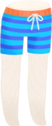 ボーダー柄サーフパンツの画像