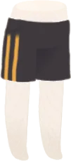 ライン入りショートボトムスの画像