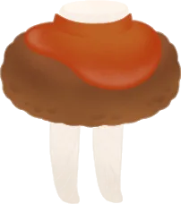 ハンバーグのスカートの画像