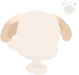 ワングエクステの画像