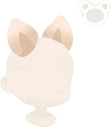 アシェットエクステの画像