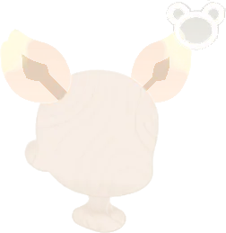 クイエクステの画像