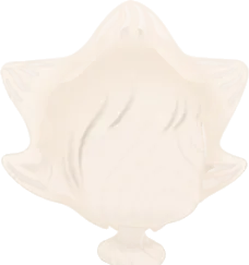 星型ヘアの画像