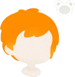 ピグミーヘアP2の画像