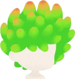つぶつぶ多肉植物ヘアの画像