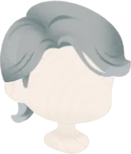 アレンジグレーヘアの画像