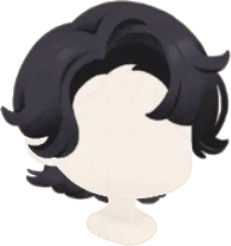 モトキのブラックバングヘアの画像