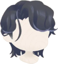烏羽色の黒髪の画像