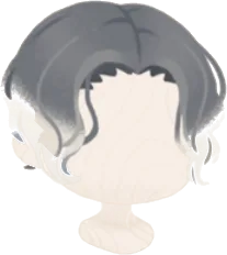 フロストグレーヘアの画像
