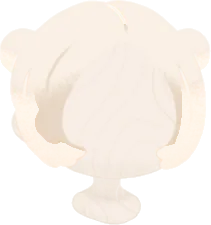 もちもちお団子シニヨンの画像