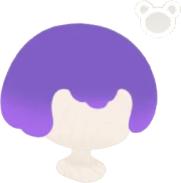 キキツムリヘアの画像