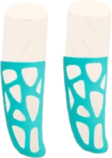 珊瑚のソックスの画像