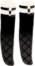 ガーターベルト黒ストッキングの画像