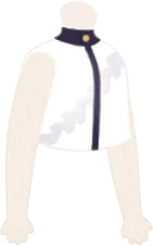 レーシィホワイトインナーの画像