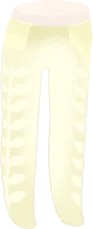 ボタニカルホワイトタイツの画像