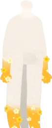 フラワーオレンジインナーの画像